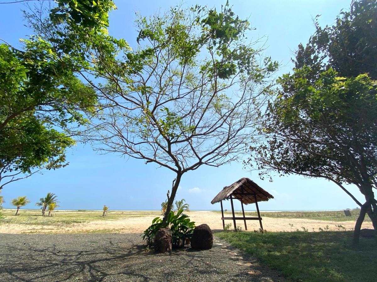 Dream Garden 3* Arugam Bay